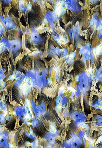 263996-多彩花卉蛇纹组合