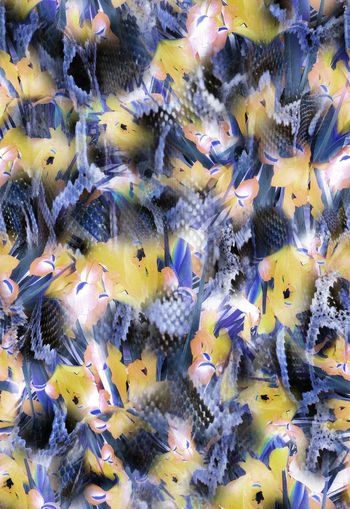 263997-多彩花卉蛇纹组合