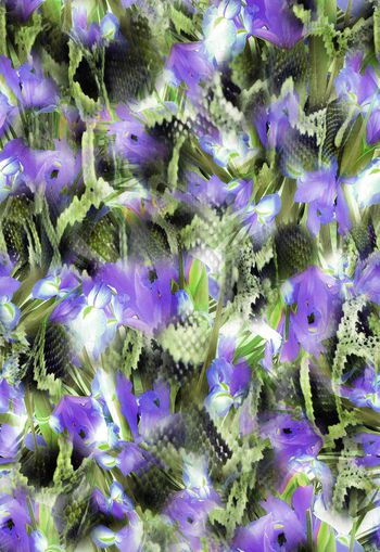 263998-多彩花卉蛇纹组合