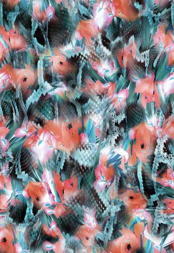 263999-多彩花卉蛇纹组合