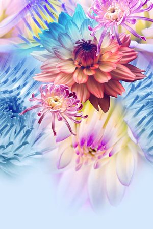 定位图案印花华亿平台图片