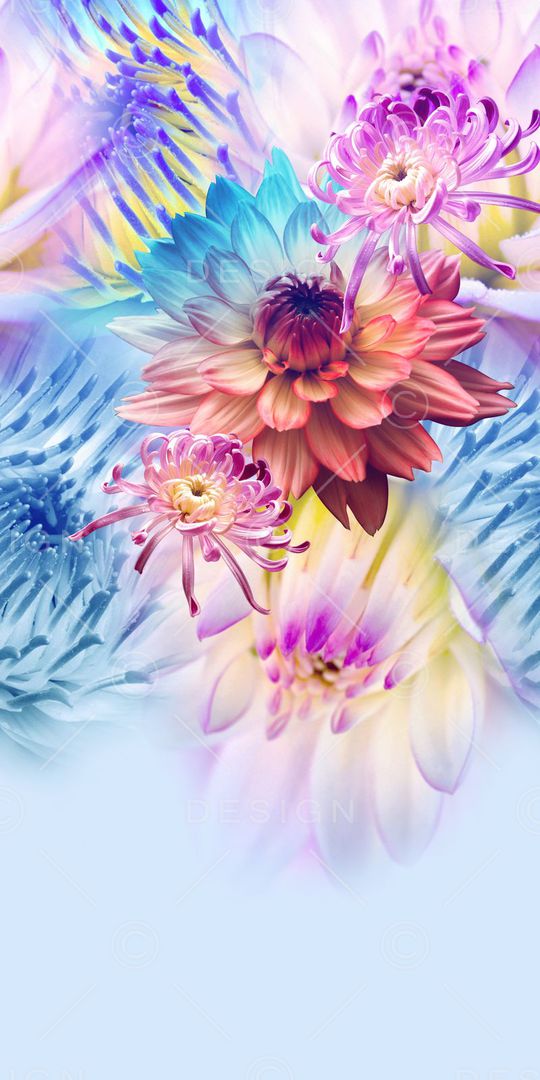 定位图案印花华亿平台图片