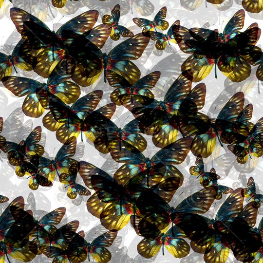 动物印花华亿平台图片