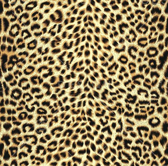 动物纹印花华亿平台图片