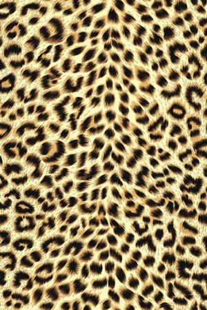 动物纹印花华亿平台图片