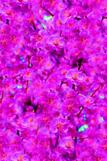 满底密集花卉印花华亿平台图片