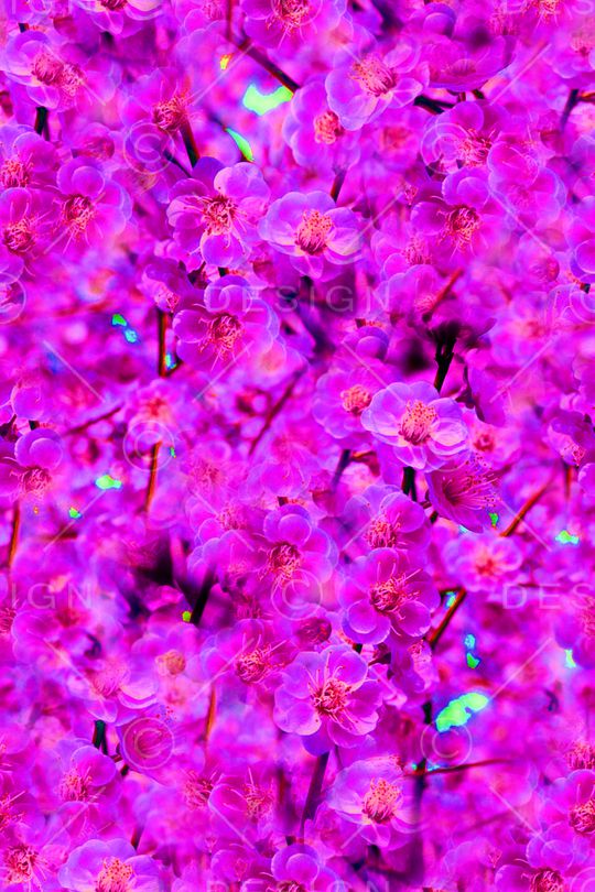 满底密集花卉印花华亿平台图片