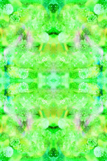 264319-201312y11花卉与松果的组合