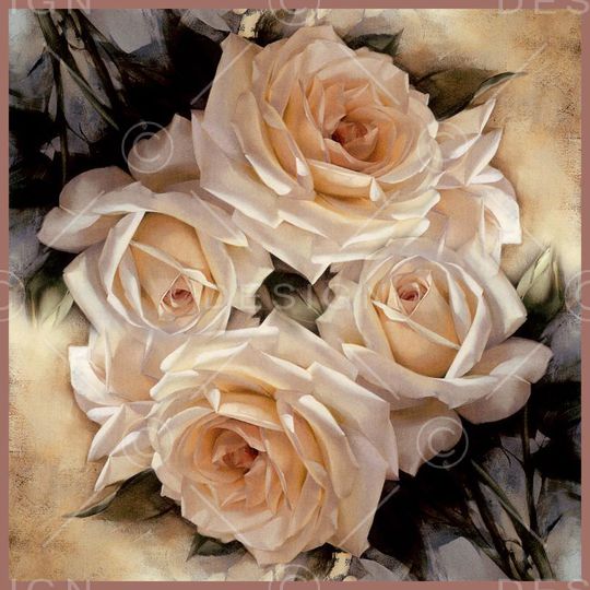 围巾印花华亿平台图片