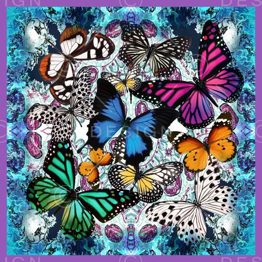 蝴蝶印花华亿平台图片