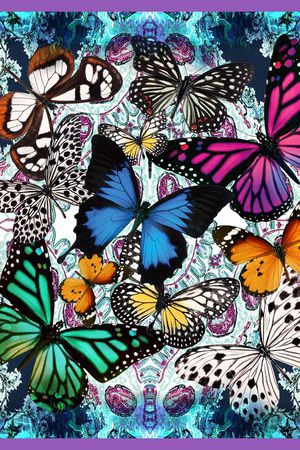 蝴蝶印花华亿平台图片