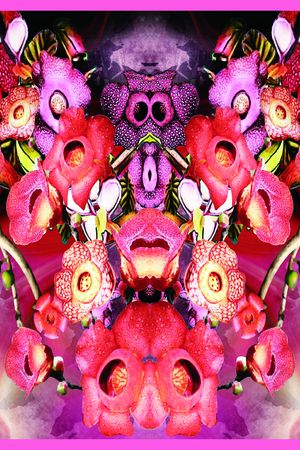 印花华亿平台图片