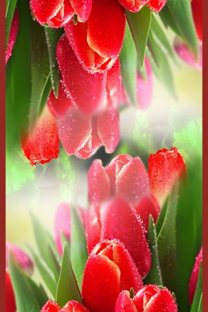 印花华亿平台图片