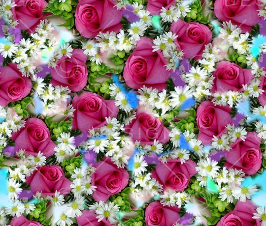 印花华亿平台图片