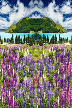 印花华亿平台图片