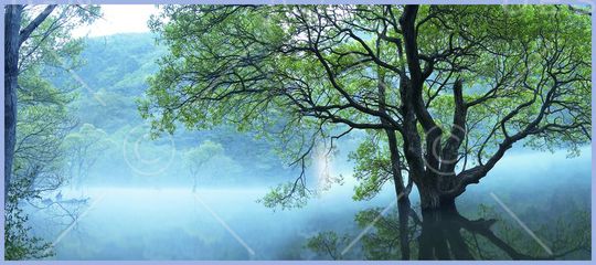 印花华亿平台图片