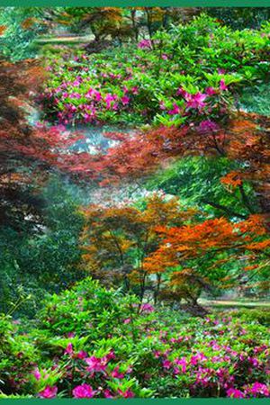 印花华亿平台图片