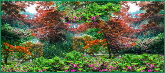 印花华亿平台图片