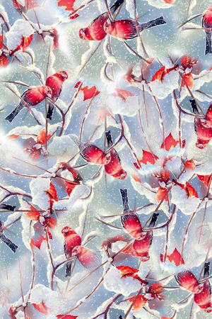 雪景印花华亿平台图片