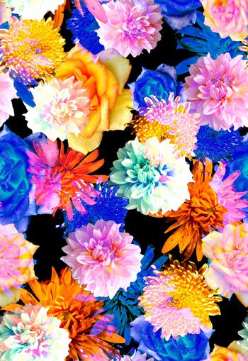 265115-黑底大花卉花朵组合