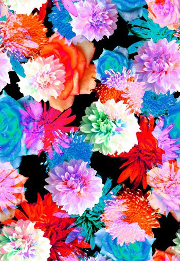 265116-黑底大花卉花朵组合