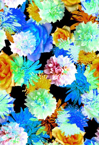 265117-黑底大花卉花朵组合