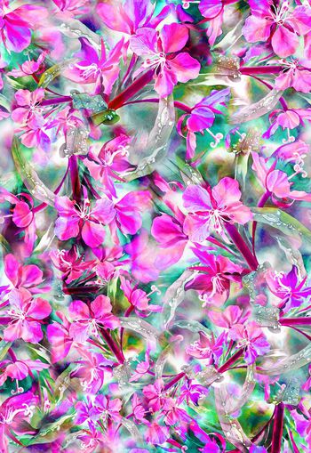 265121-多彩花卉花朵组合