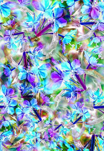 265123-多彩花卉花朵组合