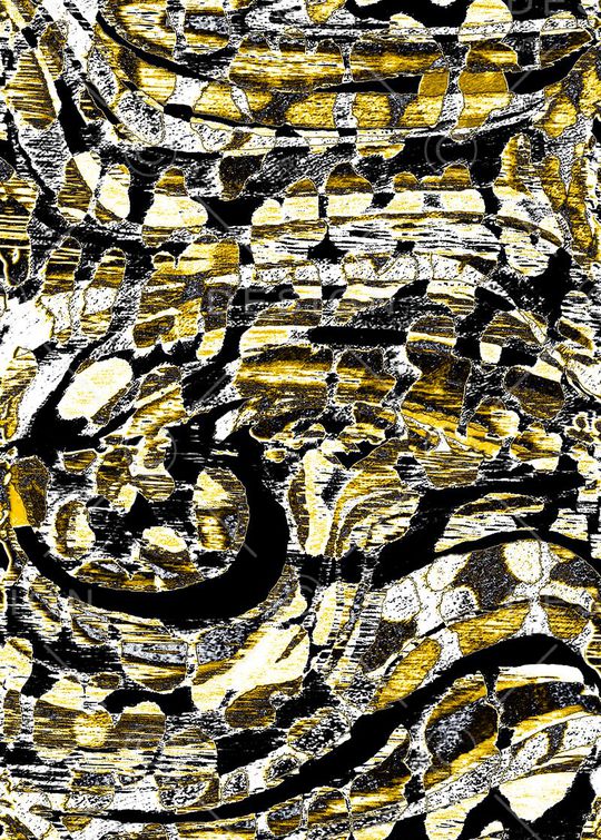 豹纹印花华亿平台图片