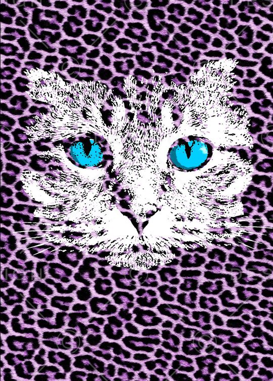 C-动物华亿平台/Animal印花华亿平台图片