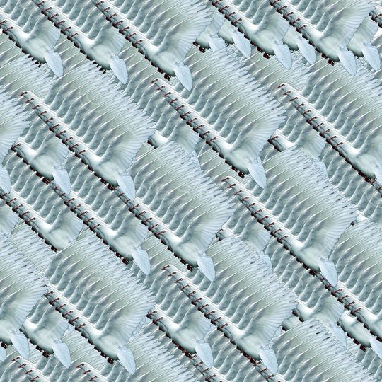 格子印花华亿平台图片