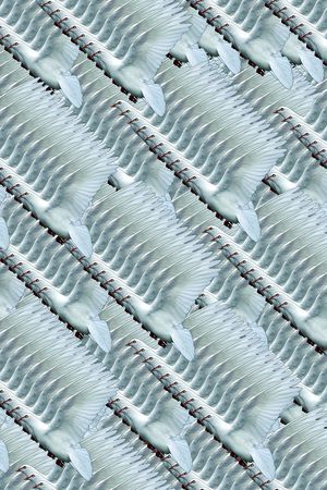 格子印花华亿平台图片