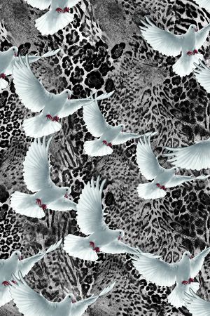 豹纹印花华亿平台图片