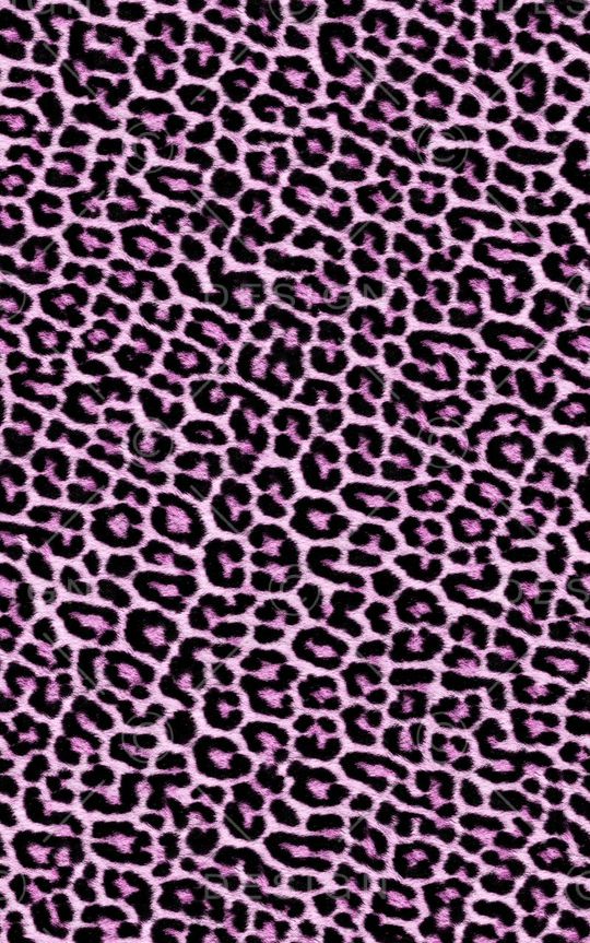 豹纹印花华亿平台图片