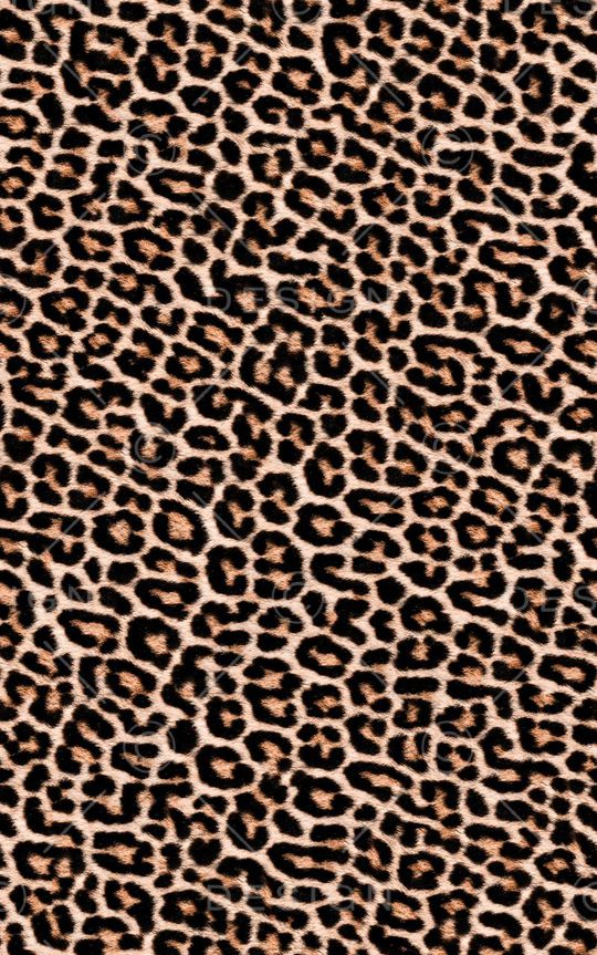 豹纹印花华亿平台图片