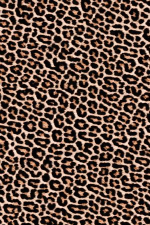 豹纹印花华亿平台图片