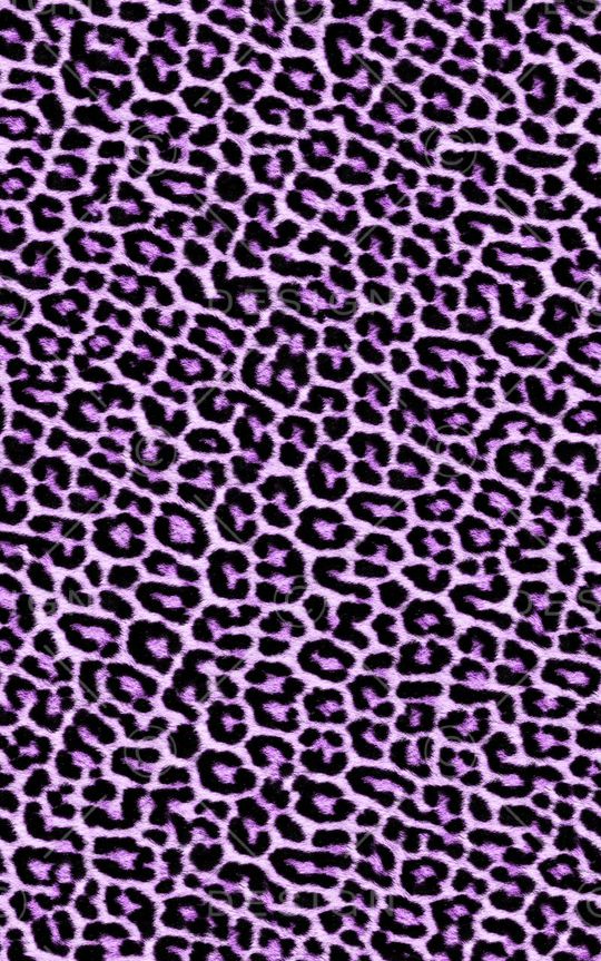 豹纹印花华亿平台图片