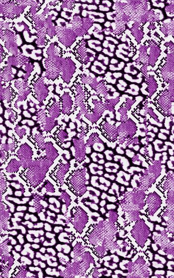 265470-蛇豹纹-005