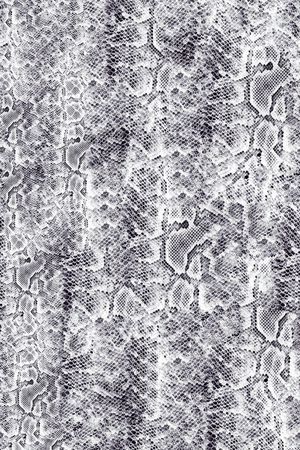 豹纹印花华亿平台图片