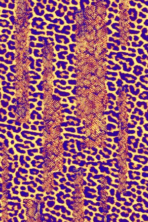 豹纹印花华亿平台图片