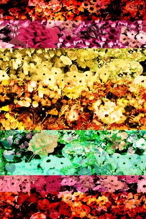 条纹印花华亿平台图片