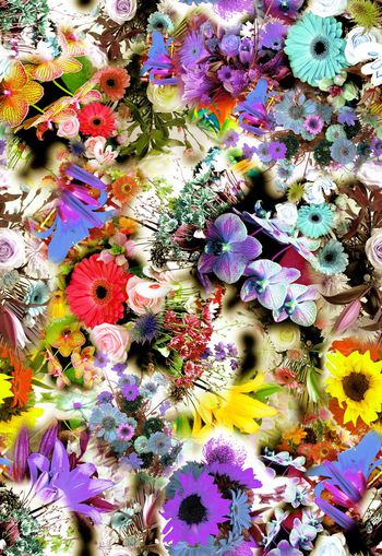 265915-多彩写实花卉花朵组合