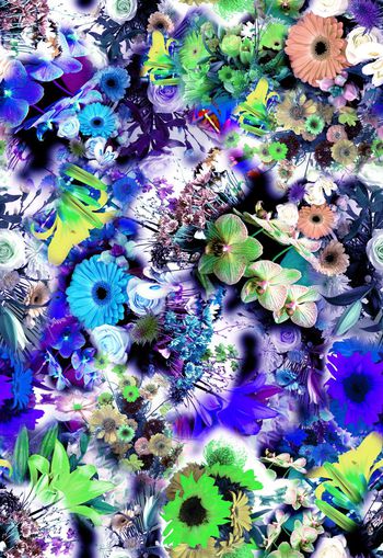 265916-多彩写实花卉花朵组合