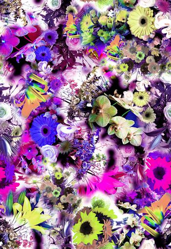 265917-多彩写实花卉花朵组合