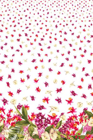 热带印花华亿平台图片