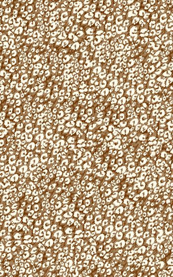 266114-豹纹图案-009