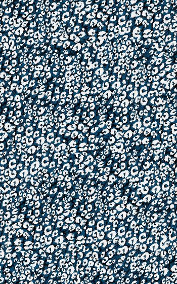 266115-豹纹图案-009