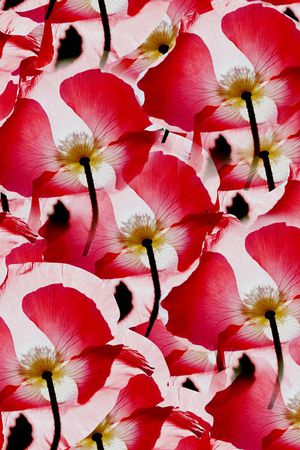 写意印花华亿平台图片