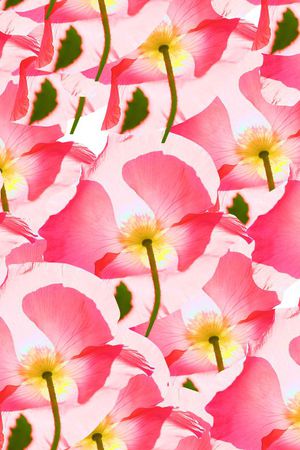 印花华亿平台图片