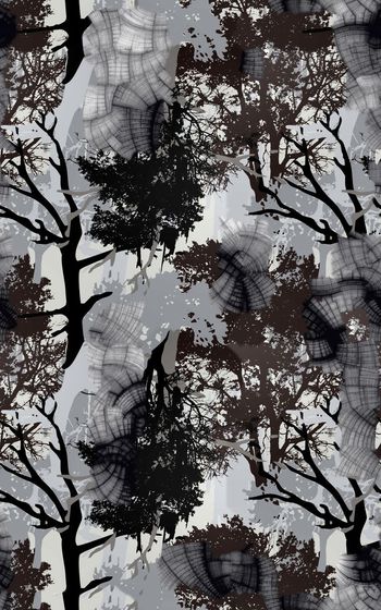 266254-自然世界树木纹1